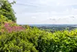 Dartmoor Wonderland Views 2