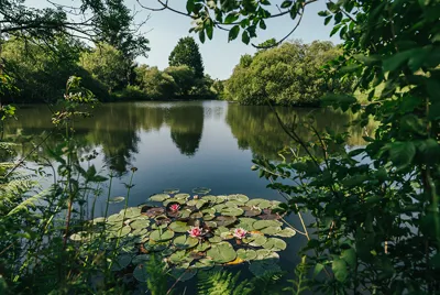 Tregulland Lake View