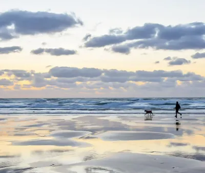 Luxury Pet Friendly Holidays Cornwall