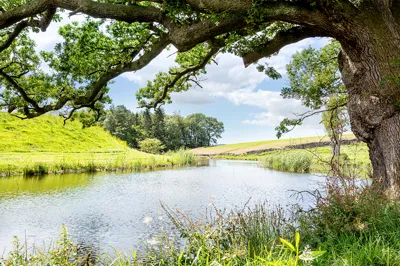 Beckland Grange Lakes