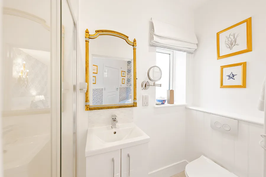 Sea Dragon Octopus Bathroom