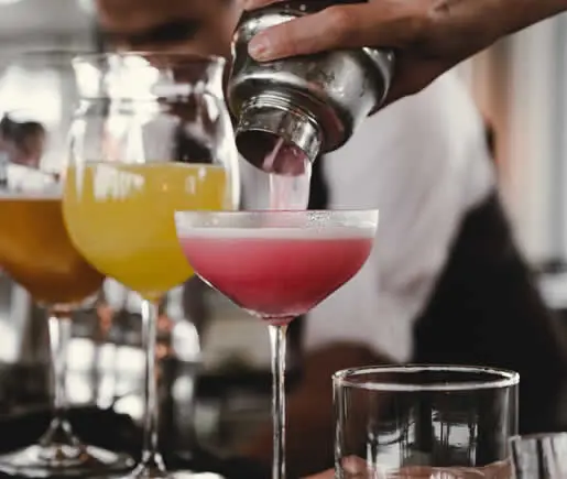Cocktail Mixologists