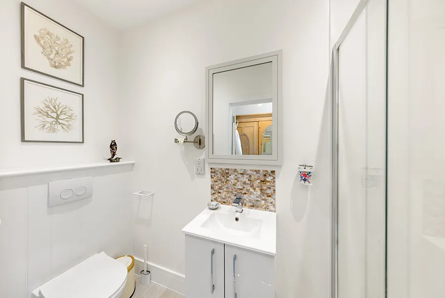 Sea Dragon Whale Bathroom