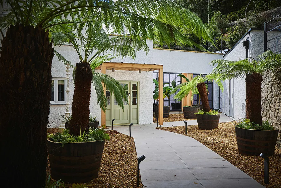 Ty Bryn Boot Room Rear Entrance