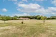 Mulberry Tree Cottage Grounds 2