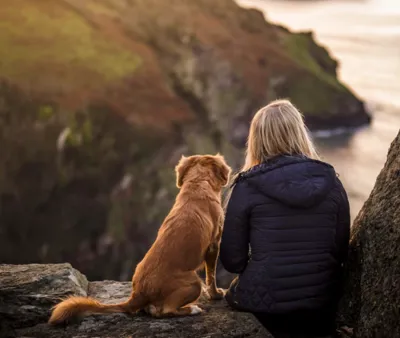 Luxury Pet Friendly Holidays South West