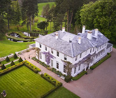 Tall Trees 515 X 435