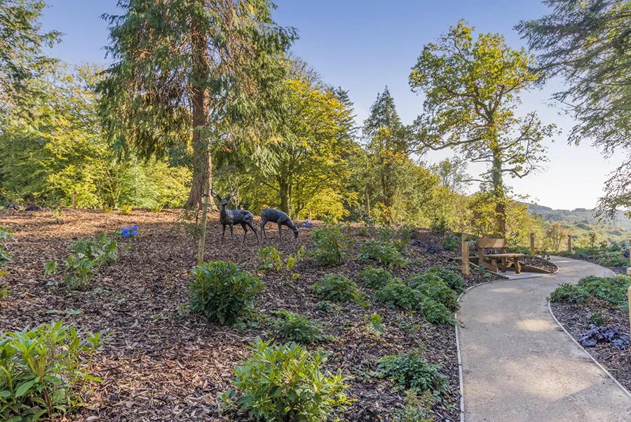 Pengarth Castle Woodland Walk