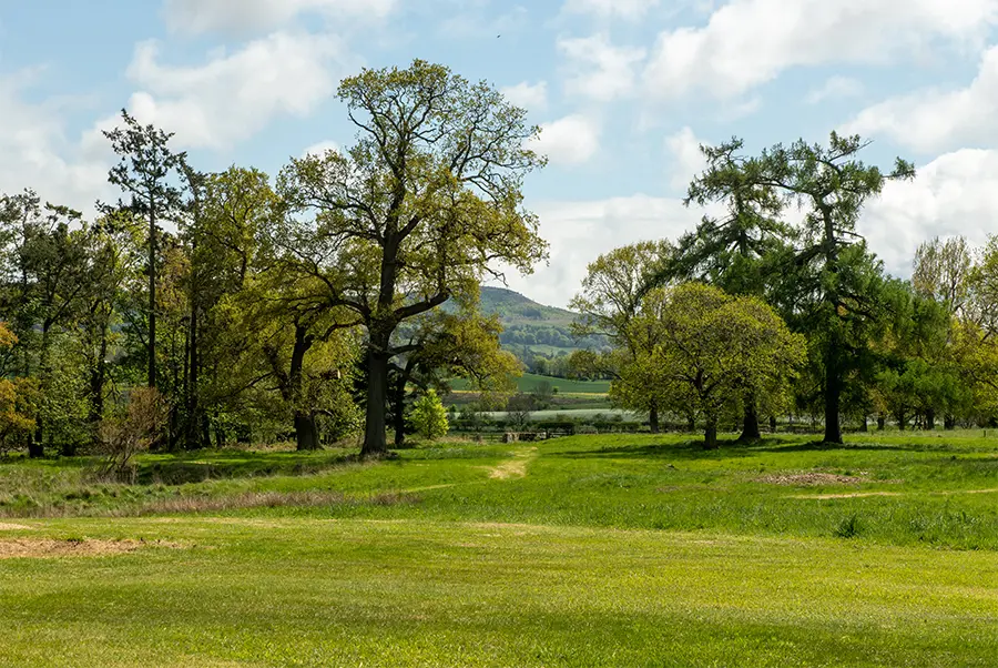 Tillbridge Hall Grounds 1