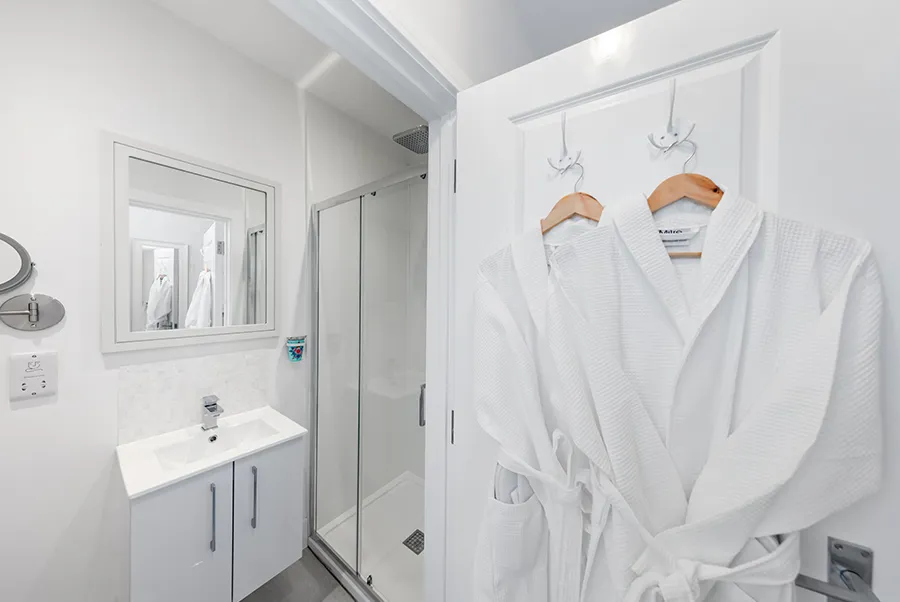 Sea Dragon Turtle Bathroom