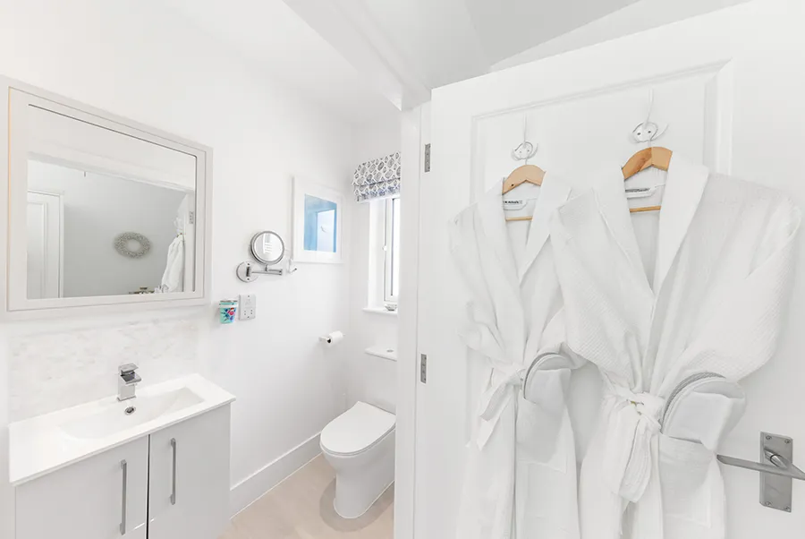 Sea Dragon Dolphin Bathroom