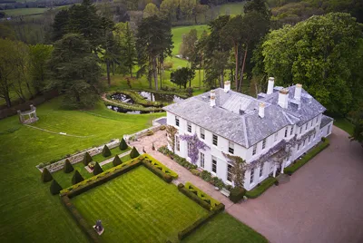 Tall Trees Aerial View 1