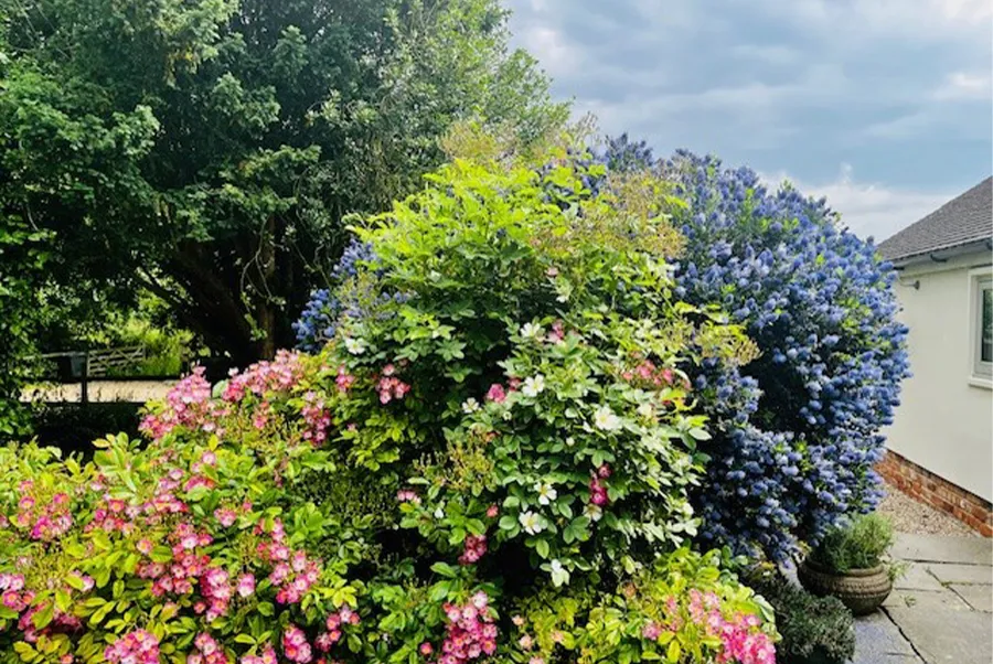 Thistlebrook Retreat Grounds 4