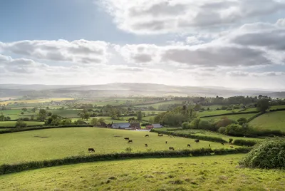 Greens Hill House Somerset 33 Copy